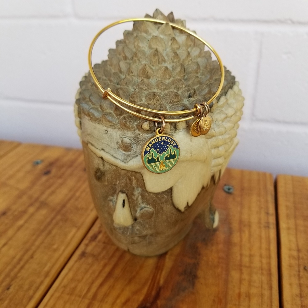 alex and ani • wanderlust bracelet • H